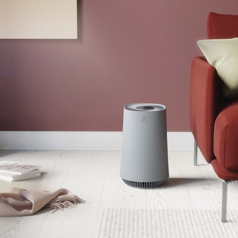 Electrolux EFFCAR2 Filtro per purificatore d'aria