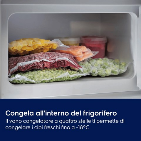 Electrolux Frigorifero Armadio Frigocongelatore Statico Classe E EFB3AE10S1