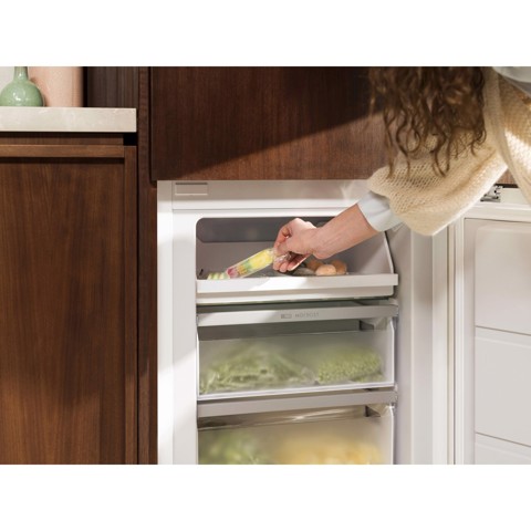 Electrolux FRIGORIFERO COMBINATO STATIC LOW FROST CLASSE E LNA6LE18S