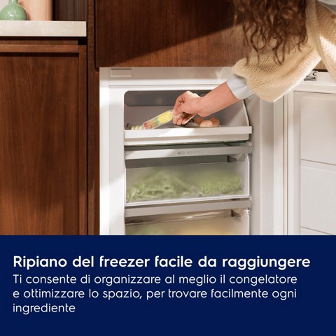 Electrolux Frigorifero Combinato Static Low Frost Classe E LNA6LE18S