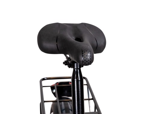 EMG  Bici Elettrica Fat Bike Bomber 250W con telaio 17" foldable, ruota 20", Freni a disco a/p, Cambio Shimano e batteria 10Ah