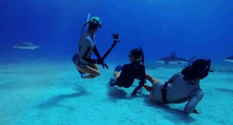 GoPro ADDIV-001 accessorio per fotocamera sportiva Alloggiamento per fotocamera