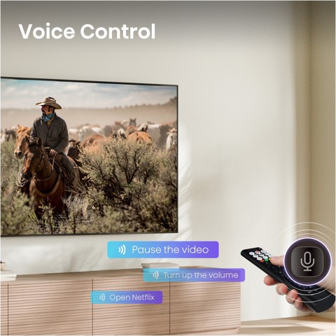 Hisense Smart TV 43" 4K 43A69S