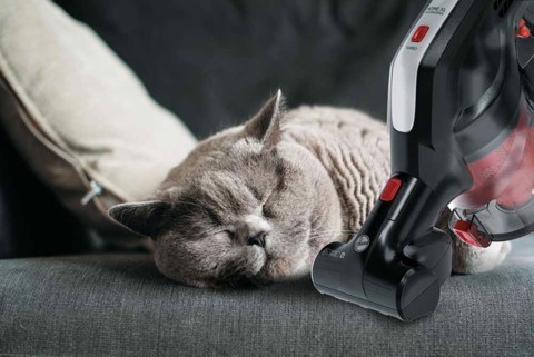 Hoover H-FREE 200 HF222AXL 011 Nero Senza sacchetto