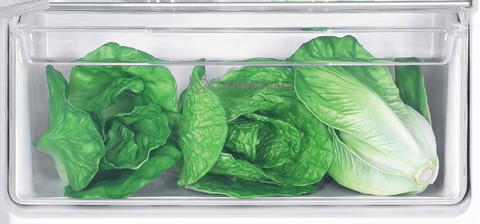 Indesit IN D 2040 E Da incasso 205 L Bianco