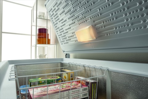 Indesit OS 2A 250 Congelatore a pozzo Libera installazione 255 L E Bianco