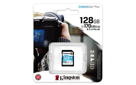 Kingston Technology Canvas Go! Plus memoria flash 128 GB SD UHS-I Classe 10