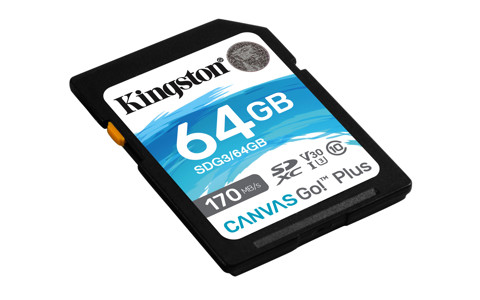 Kingston Technology Canvas Go! Plus memoria flash 64 GB SD UHS-I Classe 10