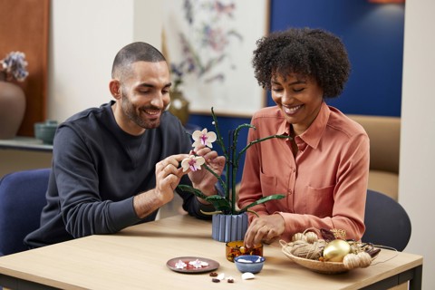 LEGO Botanicals 10311 Orchidea Modellino da Costruire con Fiori Finti e Vaso