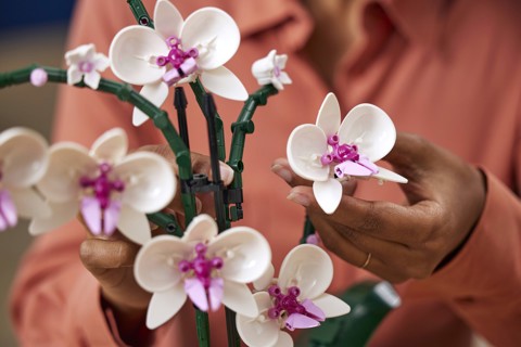 LEGO Botanicals 10311 Orchidea Modellino da Costruire con Fiori Finti e Vaso