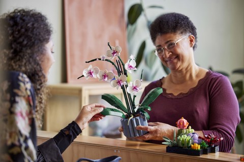 LEGO Botanicals 10311 Orchidea Modellino da Costruire con Fiori Finti e Vaso