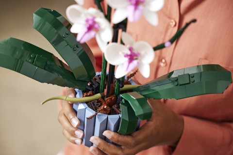 LEGO Botanicals 10311 Orchidea Modellino da Costruire con Fiori Finti e Vaso