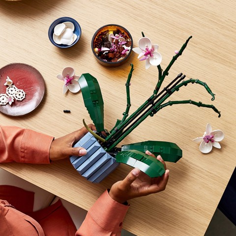 LEGO Botanicals 10311 Orchidea Modellino da Costruire con Fiori Finti e Vaso