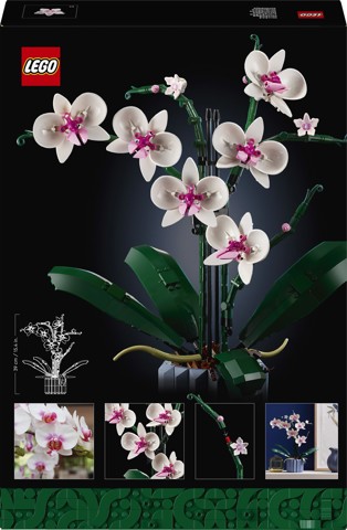 LEGO Botanicals 10311 Orchidea Modellino da Costruire con Fiori Finti e Vaso