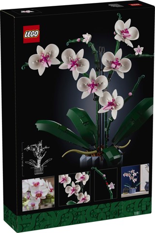 LEGO Botanicals 10311 Orchidea Modellino da Costruire con Fiori Finti e Vaso