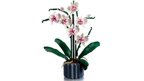 LEGO Botanicals 10311 Orchidea Modellino da Costruire con Fiori Finti e Vaso