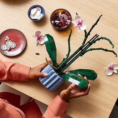 LEGO Botanicals 10311 Orchidea Modellino da Costruire con Fiori Finti e Vaso