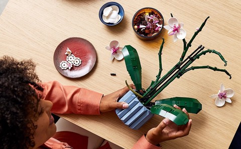 LEGO Botanicals 10311 Orchidea Modellino da Costruire con Fiori Finti e Vaso
