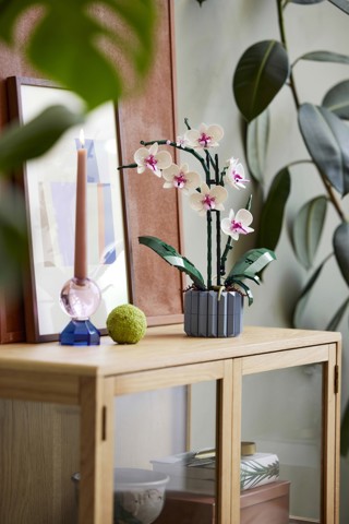 LEGO Botanicals 10311 Orchidea Modellino da Costruire con Fiori Finti e Vaso