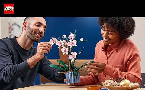LEGO Botanicals 10311 Orchidea Modellino da Costruire con Fiori Finti e Vaso
