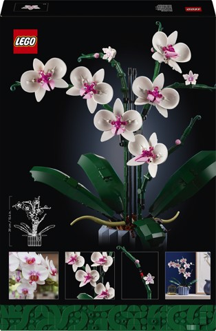LEGO Botanicals 10311 Orchidea, Set per Adulti da Collezione, Hobby Creativi, Modellino da Costruire con Fiori Finti e Vaso