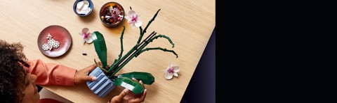 LEGO Botanicals 10311 Orchidea, Set per Adulti da Collezione, Hobby Creativi, Modellino da Costruire con Fiori Finti e Vaso
