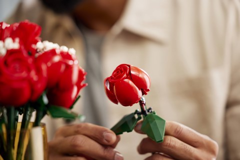 LEGO Botanicals 10328 Bouquet di Rose, Set Fiori Finti per Adulti, Idea Regalo per Donna o Uomo dalla Collezione Botanica