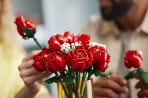 LEGO Botanicals 10328 Bouquet di Rose, Set Fiori Finti per Adulti, Idea Regalo per Donna o Uomo dalla Collezione Botanica