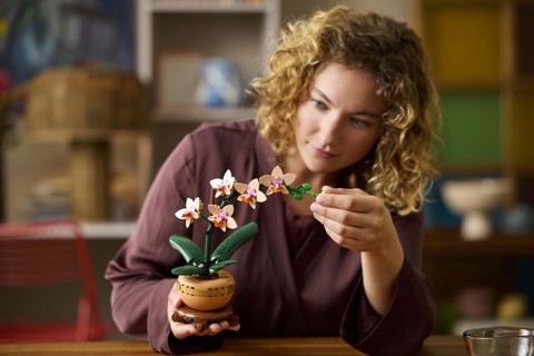 LEGO Botanicals 10343 Mini-Orchidea, Fiori Finti da Costruire, Botanical Collection per Adulti, Idea Regalo per Donna o Uomo