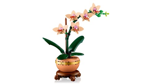 LEGO Botanicals 10343 Mini-Orchidea, Fiori Finti da Costruire, Botanical Collection per Adulti, Idea Regalo per Donna o Uomo