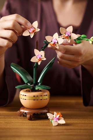 LEGO Botanicals 10343 Mini-Orchidea, Fiori Finti da Costruire, Botanical Collection per Adulti, Idea Regalo per Donna o Uomo