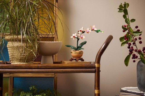 LEGO Botanicals 10343 Mini-Orchidea, Fiori Finti da Costruire, Botanical Collection per Adulti, Idea Regalo per Donna o Uomo