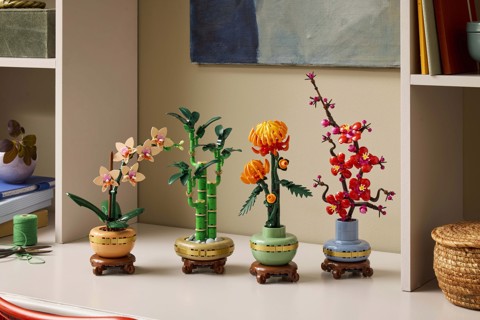 LEGO Botanicals 10343 Mini-Orchidea, Fiori Finti da Costruire, Botanical Collection per Adulti, Idea Regalo per Donna o Uomo