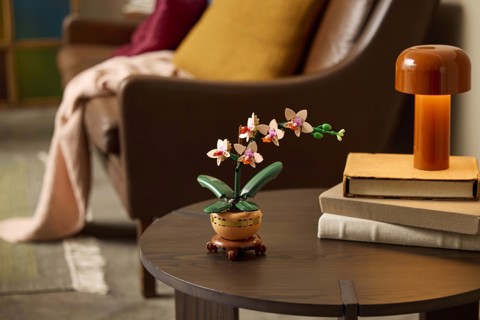 LEGO Botanicals 10343 Mini-Orchidea, Fiori Finti da Costruire, Botanical Collection per Adulti, Idea Regalo per Donna o Uomo
