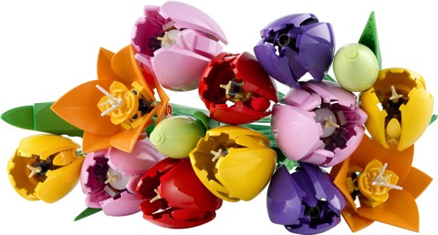 LEGO Botanicals 11501 Bouquet di Tulipani, 14 Fiori Finti da Costruire per Adulti in 5 Colori, Regalo Fai da Te per Donne