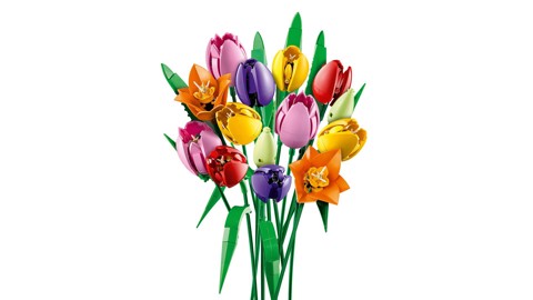 LEGO Botanicals 11501 Bouquet di Tulipani, 14 Fiori Finti da Costruire per Adulti in 5 Colori, Regalo Fai da Te per Donne
