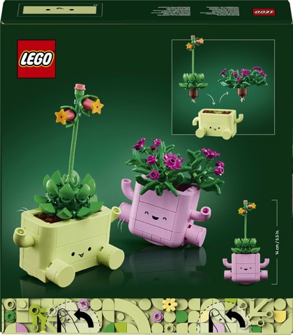 LEGO Botanicals 11506 Piante Dondolanti, Set con 2 Piante Finte e 2 Vasi