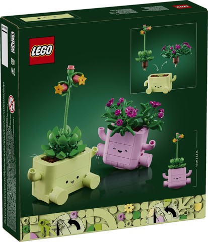 LEGO Botanicals 11506 Piante Dondolanti, Set con 2 Piante Finte e 2 Vasi
