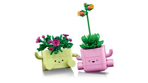 LEGO Botanicals 11506 Piante Dondolanti, Set con 2 Piante Finte e 2 Vasi