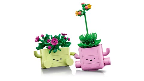 LEGO Botanicals 11506 Piante Dondolanti, Set con 2 Piante Finte e 2 Vasi - Decorazione da Camera da Letto, Regalo Bambine 9+