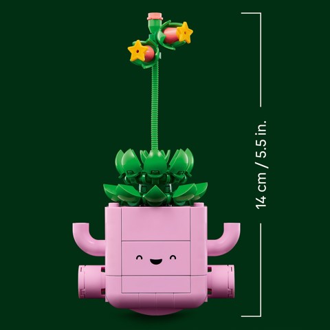 LEGO Botanicals 11506 Piante Dondolanti, Set con 2 Piante Finte e 2 Vasi - Decorazione da Camera da Letto, Regalo Bambine 9+