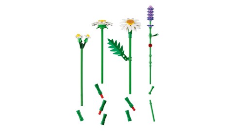 LEGO Botanicals 11508 Margherite, Bouquet di Fiori Artificiali con Margherite Finte, Lavanda, Regalo di Compleanno Bambine 9+