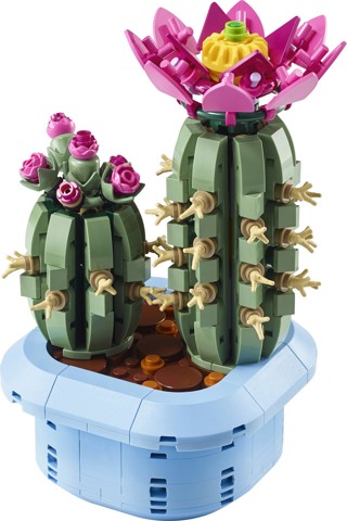 LEGO Botanicals 11509 Cactus in Fiore, Pianta Artificiale in Vaso con 2 Cactus e Fiori Finti