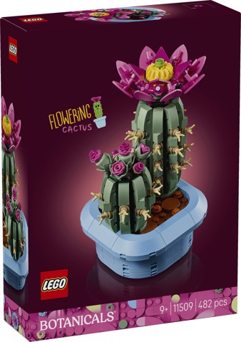 LEGO Botanicals 11509 Cactus in Fiore, Pianta Artificiale in Vaso con 2 Cactus e Fiori Finti