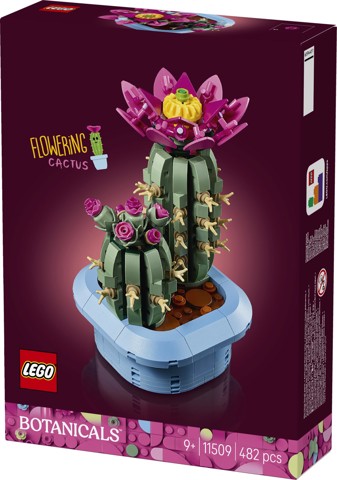 LEGO Botanicals 11509 Cactus in Fiore, Pianta Artificiale in Vaso con 2 Cactus e Fiori Finti