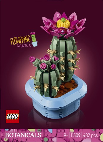 LEGO Botanicals 11509 Cactus in Fiore, Pianta Artificiale in Vaso con 2 Cactus e Fiori Finti