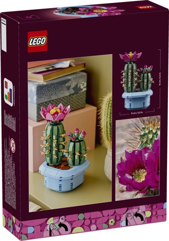 LEGO Botanicals 11509 Cactus in Fiore, Pianta Artificiale in Vaso con 2 Cactus e Fiori Finti