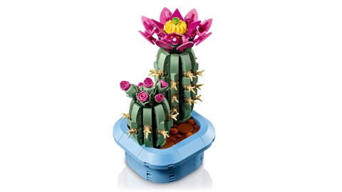 LEGO Botanicals 11509 Cactus in Fiore, Pianta Artificiale in Vaso con 2 Cactus e Fiori Finti