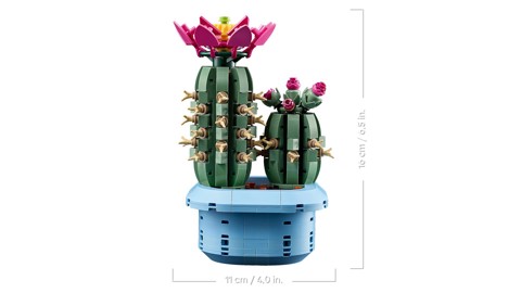 LEGO Botanicals 11509 Cactus in Fiore, Pianta Artificiale in Vaso con 2 Cactus e Fiori Finti