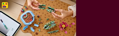 LEGO Botanicals 11509 Cactus in Fiore, Pianta Artificiale in Vaso con 2 Cactus e Fiori Finti